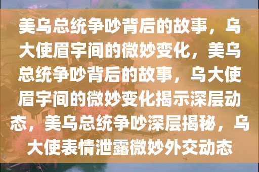 美乌总统争吵背后的故事，乌大使眉宇间的微妙变化，美乌总统争吵背后的故事，乌大使眉宇间的微妙变化揭示深层动态，美乌总统争吵深层揭秘，乌大使表情泄露微妙外交动态