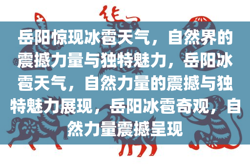 岳阳惊现冰雹天气，自然界的震撼力量与独特魅力，岳阳冰雹天气，自然力量的震撼与独特魅力展现，岳阳冰雹奇观，自然力量震撼呈现