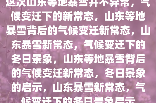 这次山东等地暴雪并不异常，气候变迁下的新常态，山东等地暴雪背后的气候变迁新常态，山东暴雪新常态，气候变迁下的冬日景象，山东等地暴雪背后的气候变迁新常态，冬日景象的启示，山东暴雪新常态，气候变迁下的冬日景象启示