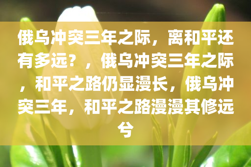 俄乌冲突三年之际，离和平还有多远？，俄乌冲突三年之际，和平之路仍显漫长，俄乌冲突三年，和平之路漫漫其修远兮