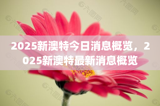 2025新澳特今日消息概览，2025新澳特最新消息概览
