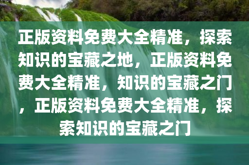 正版资料免费大全精准，探索知识的宝藏之地，正版资料免费大全精准，知识的宝藏之门，正版资料免费大全精准，探索知识的宝藏之门
