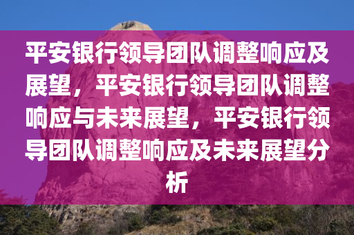 平安银行领导团队调整响应及展望，平安银行领导团队调整响应与未来展望，平安银行领导团队调整响应及未来展望分析