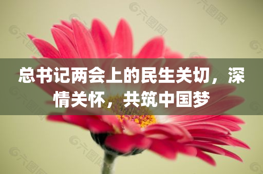 总书记两会上的民生关切，深情关怀，共筑中国梦
