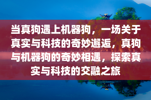 当真狗遇上机器狗，一场关于真实与科技的奇妙邂逅，真狗与机器狗的奇妙相遇，探索真实与科技的交融之旅