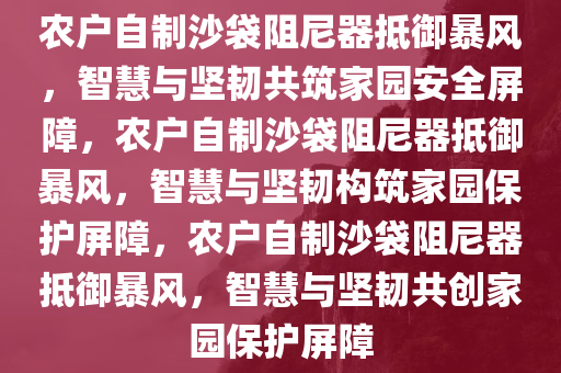 农户自制沙袋阻尼器抵御暴风，智慧与坚韧共筑家园安全屏障，农户自制沙袋阻尼器抵御暴风，智慧与坚韧构筑家园保护屏障，农户自制沙袋阻尼器抵御暴风，智慧与坚韧共创家园保护屏障