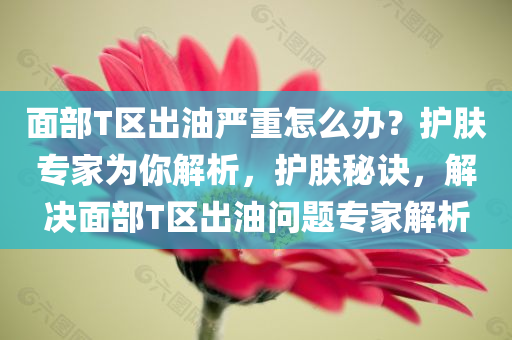 面部T区出油严重怎么办？护肤专家为你解析，护肤秘诀，解决面部T区出油问题专家解析