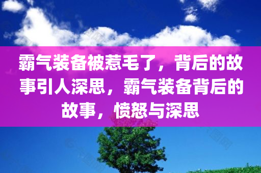 霸气装备被惹毛了，背后的故事引人深思，霸气装备背后的故事，愤怒与深思