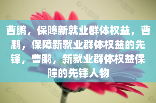 曹鹏，保障新就业群体权益，曹鹏，保障新就业群体权益的先锋，曹鹏，新就业群体权益保障的先锋人物