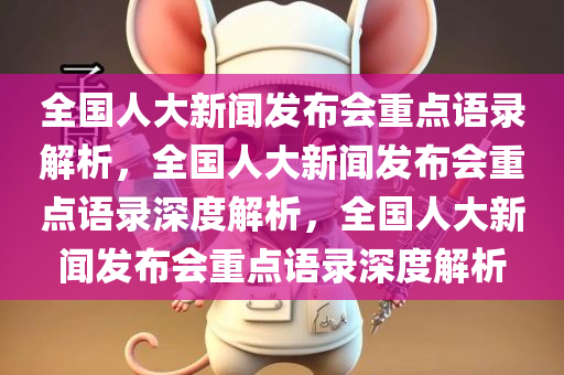 全国人大新闻发布会重点语录解析，全国人大新闻发布会重点语录深度解析，全国人大新闻发布会重点语录深度解析