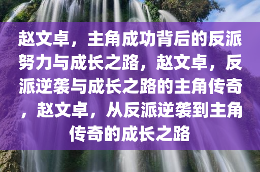 赵文卓，主角成功背后的反派努力与成长之路，赵文卓，反派逆袭与成长之路的主角传奇，赵文卓，从反派逆袭到主角传奇的成长之路