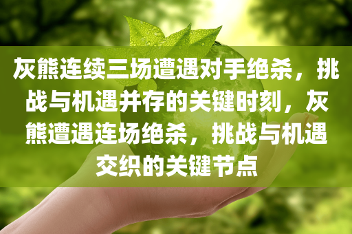 灰熊连续三场遭遇对手绝杀，挑战与机遇并存的关键时刻，灰熊遭遇连场绝杀，挑战与机遇交织的关键节点
