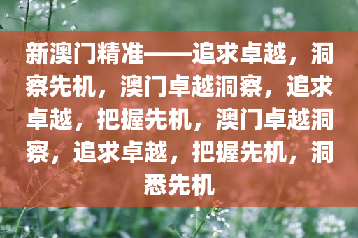 新澳门精准——追求卓越，洞察先机，澳门卓越洞察，追求卓越，把握先机，澳门卓越洞察，追求卓越，把握先机，洞悉先机