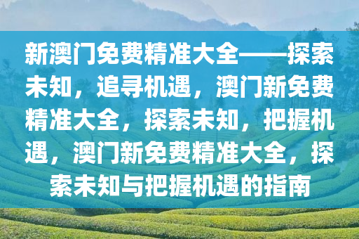 新澳门免费精准大全——探索未知，追寻机遇，澳门新免费精准大全，探索未知，把握机遇，澳门新免费精准大全，探索未知与把握机遇的指南