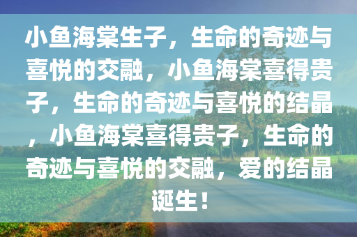 小鱼海棠生子，生命的奇迹与喜悦的交融，小鱼海棠喜得贵子，生命的奇迹与喜悦的结晶，小鱼海棠喜得贵子，生命的奇迹与喜悦的交融，爱的结晶诞生！