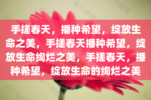 手搓春天，播种希望，绽放生命之美，手搓春天播种希望，绽放生命绚烂之美，手搓春天，播种希望，绽放生命的绚烂之美