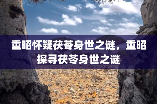 重昭怀疑茯苓身世之谜，重昭探寻茯苓身世之谜