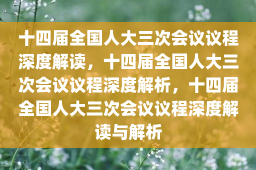 十四届全国人大三次会议议程深度解读，十四届全国人大三次会议议程深度解析，十四届全国人大三次会议议程深度解读与解析