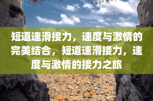 短道速滑接力，速度与激情的完美结合，短道速滑接力，速度与激情的接力之旅