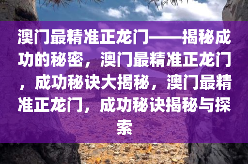 澳门最精准正龙门——揭秘成功的秘密，澳门最精准正龙门，成功秘诀大揭秘，澳门最精准正龙门，成功秘诀揭秘与探索