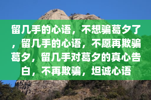 留几手的心语，不想骗葛夕了，留几手的心语，不愿再欺骗葛夕，留几手对葛夕的真心告白，不再欺骗，坦诚心语