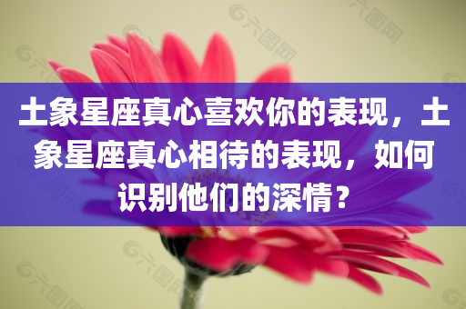 土象星座真心喜欢你的表现，土象星座真心相待的表现，如何识别他们的深情？