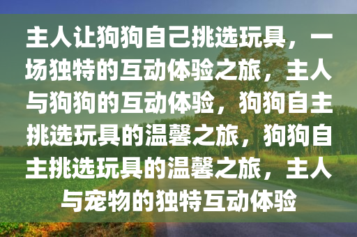 主人让狗狗自己挑选玩具，一场独特的互动体验之旅，主人与狗狗的互动体验，狗狗自主挑选玩具的温馨之旅，狗狗自主挑选玩具的温馨之旅，主人与宠物的独特互动体验