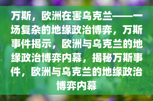 万斯：欧洲在害乌克兰