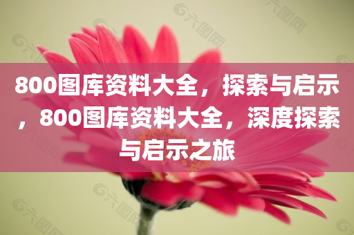 800图库资料大全，探索与启示，800图库资料大全，深度探索与启示之旅