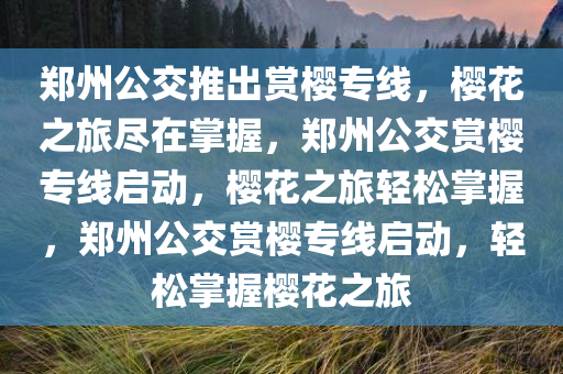 郑州公交推出赏樱专线，樱花之旅尽在掌握，郑州公交赏樱专线启动，樱花之旅轻松掌握，郑州公交赏樱专线启动，轻松掌握樱花之旅
