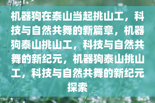 机器狗在泰山当起挑山工，科技与自然共舞的新篇章，机器狗泰山挑山工，科技与自然共舞的新纪元，机器狗泰山挑山工，科技与自然共舞的新纪元探索