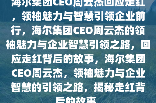 海尔集团CEO周云杰回应走红，领袖魅力与智慧引领企业前行，海尔集团CEO周云杰的领袖魅力与企业智慧引领之路，回应走红背后的故事，海尔集团CEO周云杰，领袖魅力与企业智慧的引领之路，揭秘走红背后的故事。