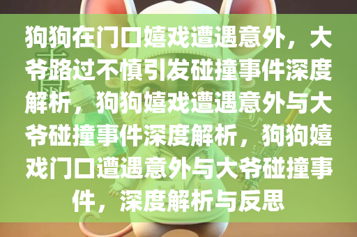 狗狗在门口嬉戏遭遇意外，大爷路过不慎引发碰撞事件深度解析，狗狗嬉戏遭遇意外与大爷碰撞事件深度解析，狗狗嬉戏门口遭遇意外与大爷碰撞事件，深度解析与反思