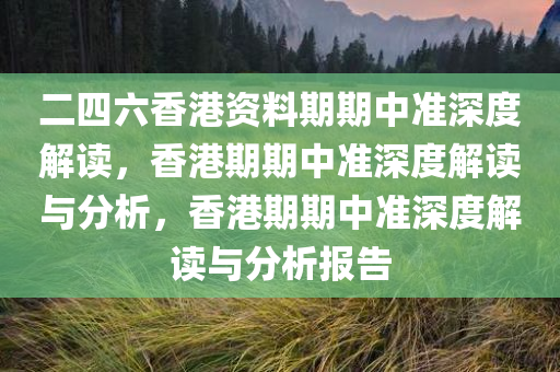 二四六香港资料期期中准深度解读，香港期期中准深度解读与分析，香港期期中准深度解读与分析报告