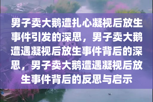 男子卖大鹅遭扎心凝视后放生事件引发的深思，男子卖大鹅遭遇凝视后放生事件背后的深思，男子卖大鹅遭遇凝视后放生事件背后的反思与启示