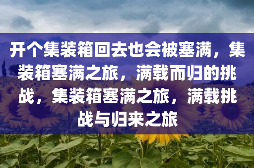 开个集装箱回去也会被塞满，集装箱塞满之旅，满载而归的挑战，集装箱塞满之旅，满载挑战与归来之旅