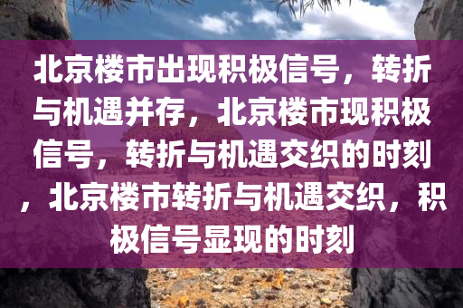北京楼市出现积极信号，转折与机遇并存，北京楼市现积极信号，转折与机遇交织的时刻，北京楼市转折与机遇交织，积极信号显现的时刻