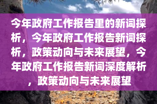 今年政府工作报告里的新词探析，今年政府工作报告新词探析，政策动向与未来展望，今年政府工作报告新词深度解析，政策动向与未来展望