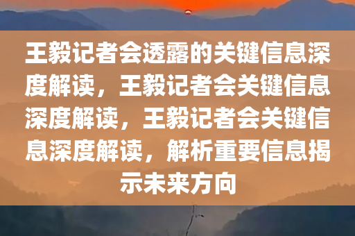 王毅记者会透露的关键信息深度解读，王毅记者会关键信息深度解读，王毅记者会关键信息深度解读，解析重要信息揭示未来方向