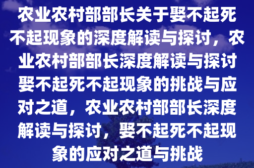 农业农村部部长关于娶不起死不起现象的深度解读与探讨，农业农村部部长深度解读与探讨娶不起死不起现象的挑战与应对之道，农业农村部部长深度解读与探讨，娶不起死不起现象的应对之道与挑战