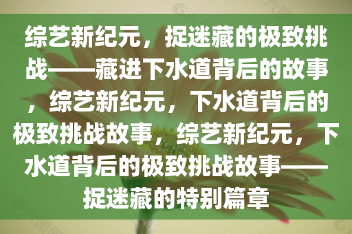 综艺新纪元，捉迷藏的极致挑战——藏进下水道背后的故事，综艺新纪元，下水道背后的极致挑战故事，综艺新纪元，下水道背后的极致挑战故事——捉迷藏的特别篇章