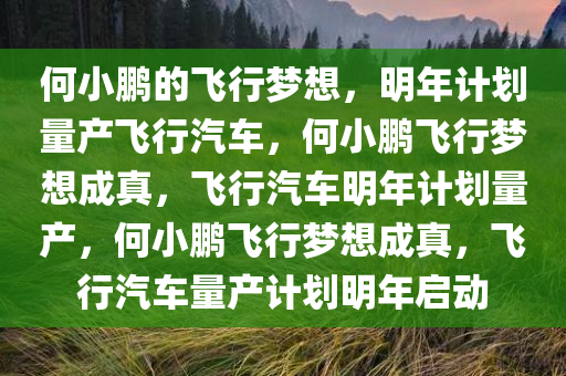 何小鹏的飞行梦想，明年计划量产飞行汽车，何小鹏飞行梦想成真，飞行汽车明年计划量产，何小鹏飞行梦想成真，飞行汽车量产计划明年启动