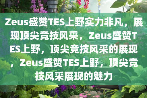 Zeus盛赞TES上野实力非凡，展现顶尖竞技风采，Zeus盛赞TES上野，顶尖竞技风采的展现，Zeus盛赞TES上野，顶尖竞技风采展现的魅力
