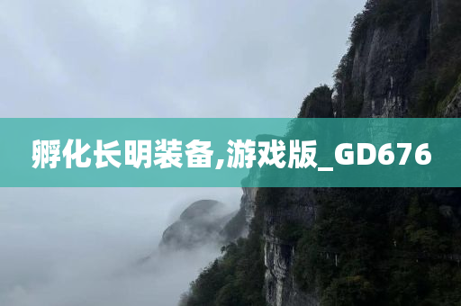 孵化长明装备,游戏版_GD676