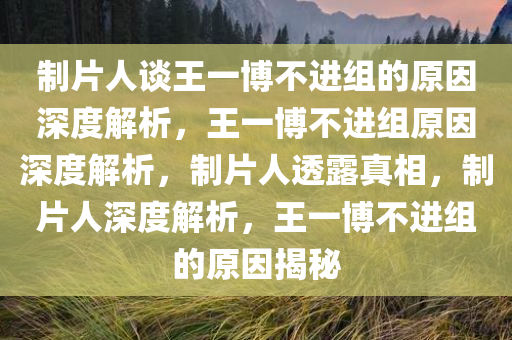 制片人谈王一博不进组的原因深度解析，王一博不进组原因深度解析，制片人透露真相，制片人深度解析，王一博不进组的原因揭秘