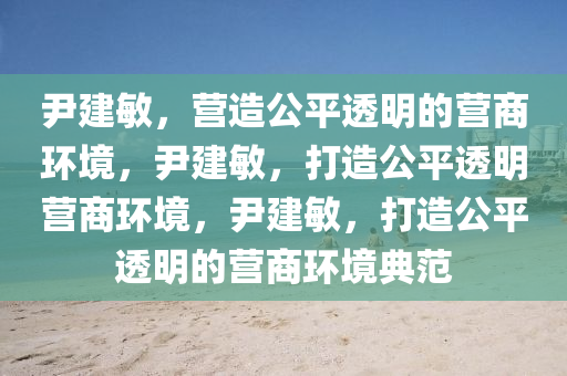 尹建敏，营造公平透明的营商环境，尹建敏，打造公平透明营商环境，尹建敏，打造公平透明的营商环境典范