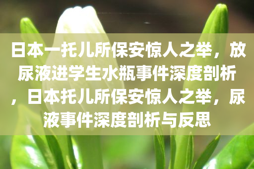 日本一托儿所保安惊人之举，放尿液进学生水瓶事件深度剖析，日本托儿所保安惊人之举，尿液事件深度剖析与反思