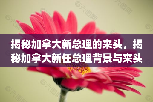 揭秘加拿大新总理的来头，揭秘加拿大新任总理背景与来头