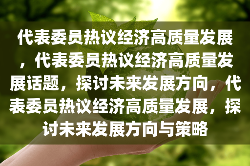 代表委员热议经济高质量发展，代表委员热议经济高质量发展话题，探讨未来发展方向，代表委员热议经济高质量发展，探讨未来发展方向与策略