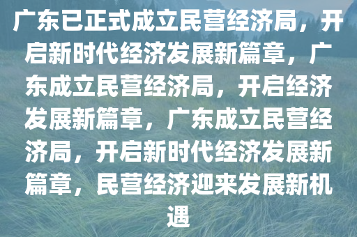广东已正式成立民营经济局，开启新时代经济发展新篇章，广东成立民营经济局，开启经济发展新篇章，广东成立民营经济局，开启新时代经济发展新篇章，民营经济迎来发展新机遇
